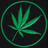 dolisodati's profile image