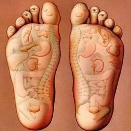 RythmFromWithin's profile picture. Reflexology chapter of Egypt is a non profit organization which promotes the scientific and professional advancement of reflexology in Egypt.

#Reflexology