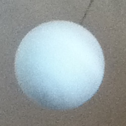 Bicho2314's profile picture. 