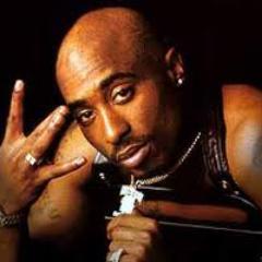 I am hip hop, Tupac is my idol, grew up in da street, learned to fight at a young age.