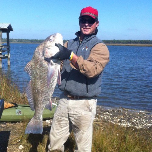 openbook3034's profile picture. 