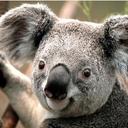 Roberto Mele - @robertomele1979 - Twitter