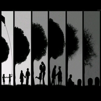 930075's profile picture. 