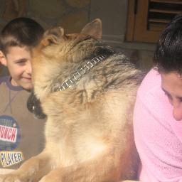 Df83Mimma's profile picture. 