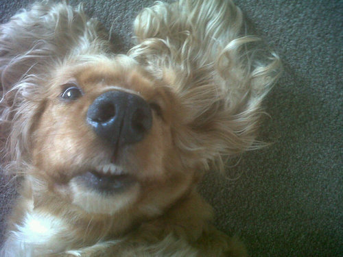 taniamyburgh's profile picture. 