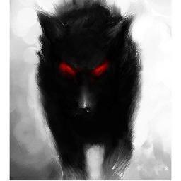 YannGR's profile picture. 