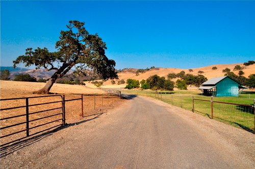 Agricultural real estate.