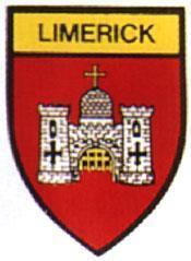 limerick_jobs's profile picture. limerick works