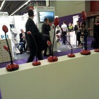 Joris N (@jorisnevens) 's Twitter Profile