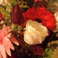 Minenur Dal (@minenurdal) 's Twitter Profile