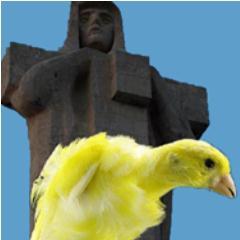 Aviario Rizados Colón.