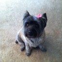 Cindi Pisnoy - @cindilovesu - Twitter