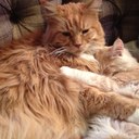 Sally Wainwright - @spiceyw - Twitter