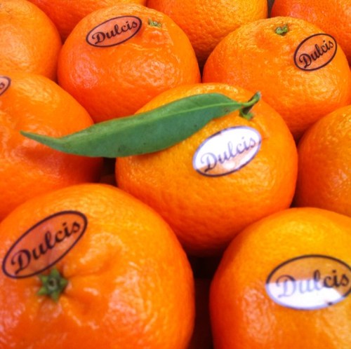 sell house production of oranges and clementines