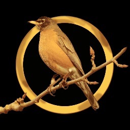 The Great Lakes Regional Conference for 2013 is underway. Join us at our reaping on Feb 8 for the start of our Hunger Games themed conference.