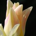 Barb Snyder - @stormybb - Twitter