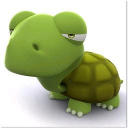 amaicm's profile picture. Sin prisa pero sin pausa