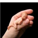 YOSEF BEN SHAUL - @yobensh - Twitter