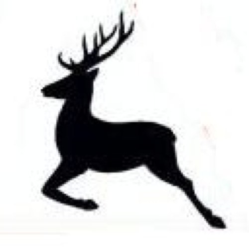 Lidenskapelig jeger, fisker og friluftsmann. Tre settere i hundegården. Glad i mat fra den norske naturen. Eier av Lillehammer Teltutleie.