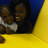 olufunke_giwa's profile image