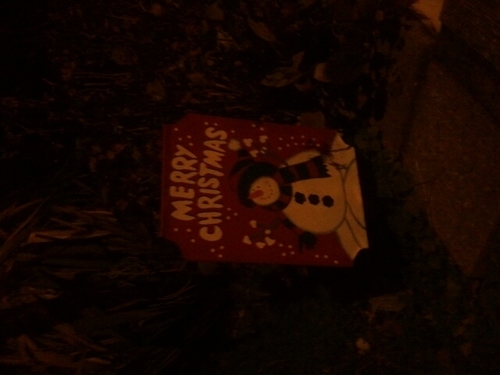 Peterbi91024649's profile picture. 