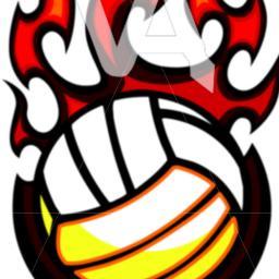 IEVoley's profile picture. 