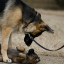 George Wine x - @George_Hyperxx - Twitter