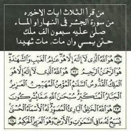 goold202's profile picture. 