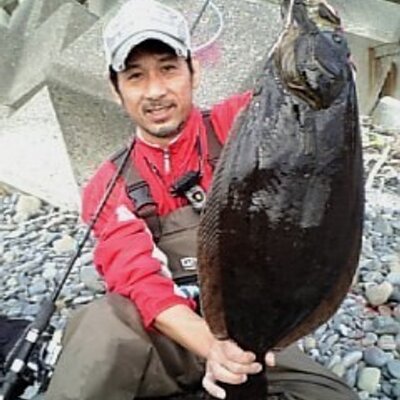 エギ爺 山本 On Twitter テスト