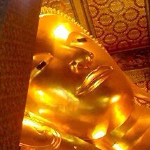 bosatsu33's profile picture. くだらねえ と呟いて 醒めた面して歩くタイプの母さんです。