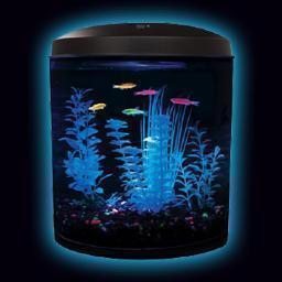 GloFishAquarium's profile picture. Experience the Glo! A unique line-up of aquariums designed specifcally for GloFish®