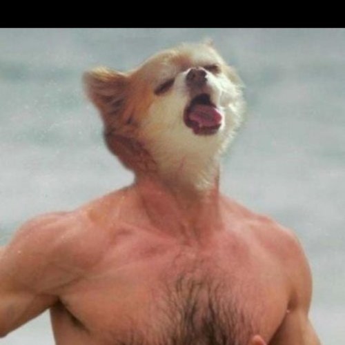 BeCk3Tt's profile picture. 