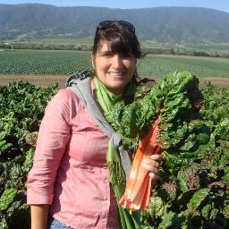 angelaverdura's profile picture. Owner/ Founder of Verdurabrand Frozen Gourmet Prepared Vegetables.
I love Family, Friends, Food and Cooking Delicious Vegetable Recipes!