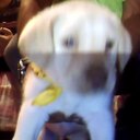 Nicolas Coronado  - @1704Nicolas - Twitter