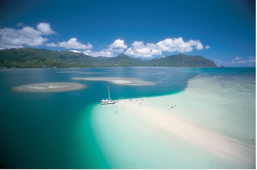 Affila_Share's profile picture. https://t.co/H8qspZCm