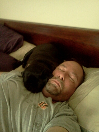 jdjjdad's profile picture. 