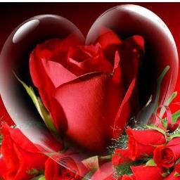 0551797276's profile picture. هذه مملكتــــي لــن أجبـــر أحــد علــى دخــولهـــــا أو البقـــــاء فيهــــا ولكننـي أجبــــــر المتـواجـديـن فيهــــا احتــــرام قوانينهـــا