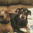 Robin Melvin - @RobinMelvin - Twitter