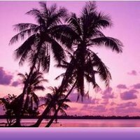 Travel Plush (@travelplush) 's Twitter Profile