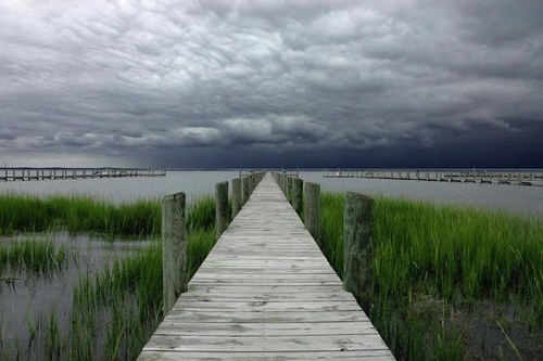 beagmiester's profile picture. LUFC Fan... hates bates