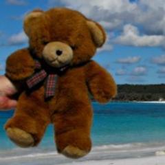 The Globetrotting Teddy Bear. He would love to come and visit you. He also likes Geocaching.