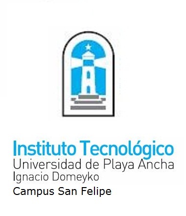 El propósito central del Instituto es la creación de una fuerza de trabajo más competente y educada, mediante la entrega de buena enseñanza a sus alumnos.