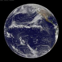 ChrisHallam4's profile picture. 