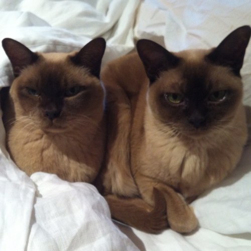 Virgilandelsie's profile picture. 