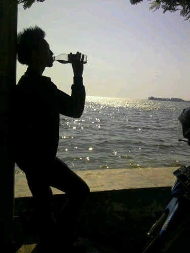 pin:29DE1B78