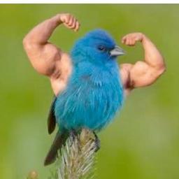 Just a buff feathered friend trying to make it this cruel world. I like steroids, worms, and anal sex with fine women.