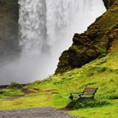 CarrieYork8's profile picture. Happiness is a choice. You grieve, you stomp your feet,you pick ourself up and choose to be happy.- Lucy Lawless