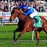 nashhot's profile picture. Australian jockey 🇦🇺 https://t.co/7a7s6bULDI