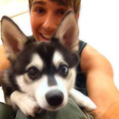 {La push nena es la push} and {La vida es muy corta para ser organizado} 

Big Time Rush & Twiligh. ♥