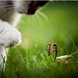 helpthebored's profile picture. 